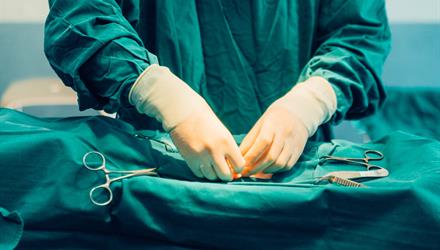 CAWF em'barks' on latest mass sterilisation project
