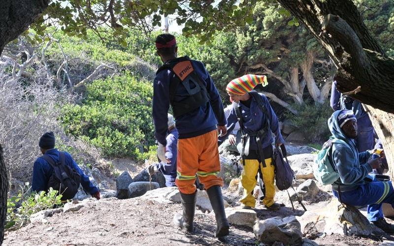 City of Cape Town stops Brass Bell restaurant from building on beach